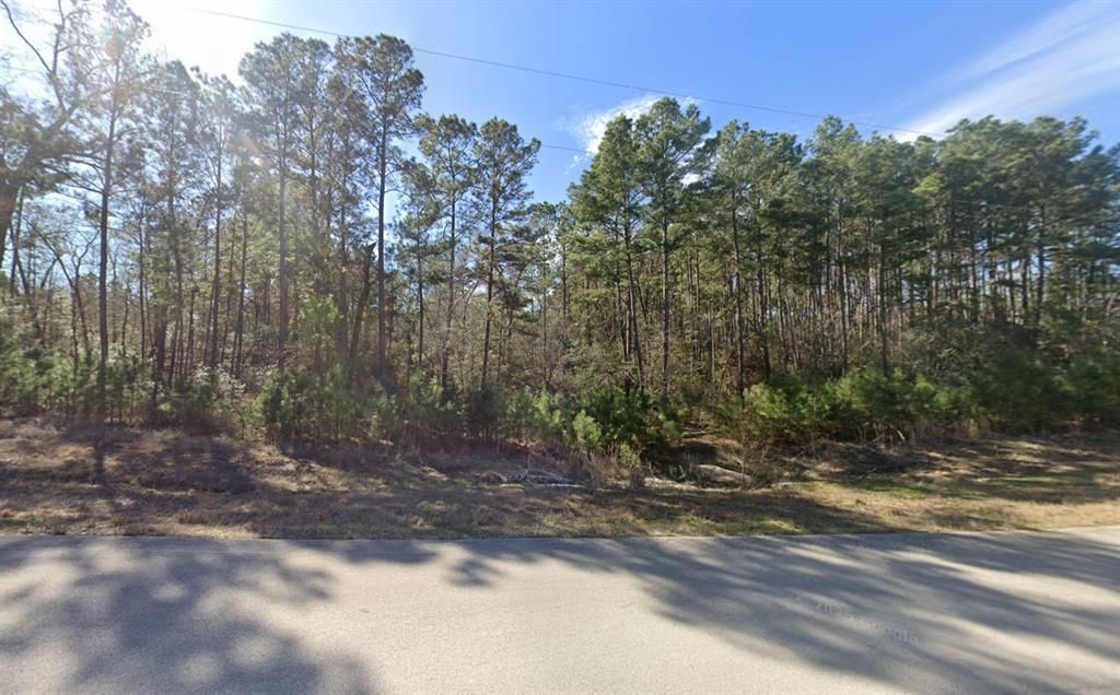 Photo of 265 Sky Oak Lane, Huntsville, TX 77340 (MLS # 21251767)