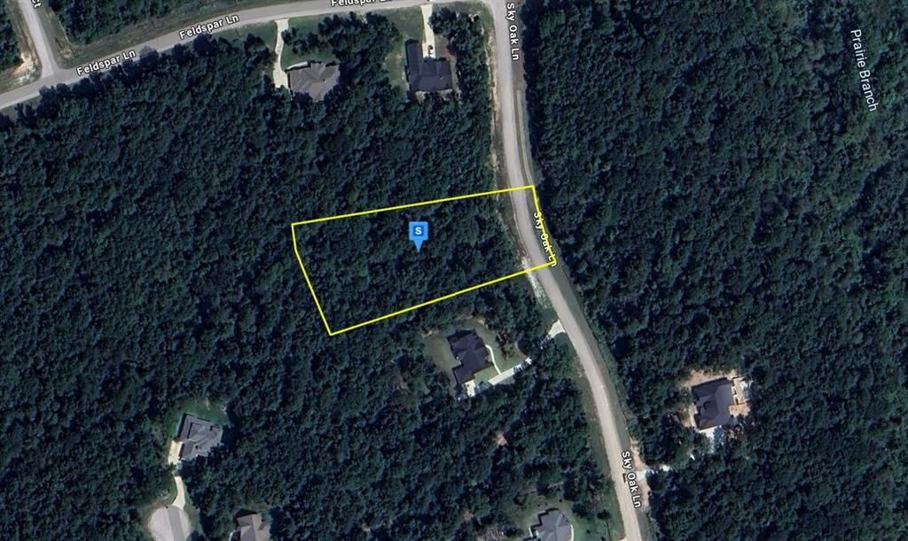 Photo of 265 Sky Oak Lane, Huntsville, TX 77340 (MLS # 21251767)