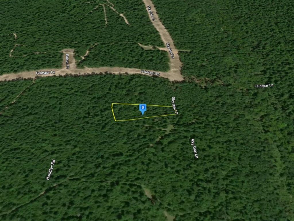 Photo of 265 Sky Oak Lane, Huntsville, TX 77340 (MLS # 21251767)