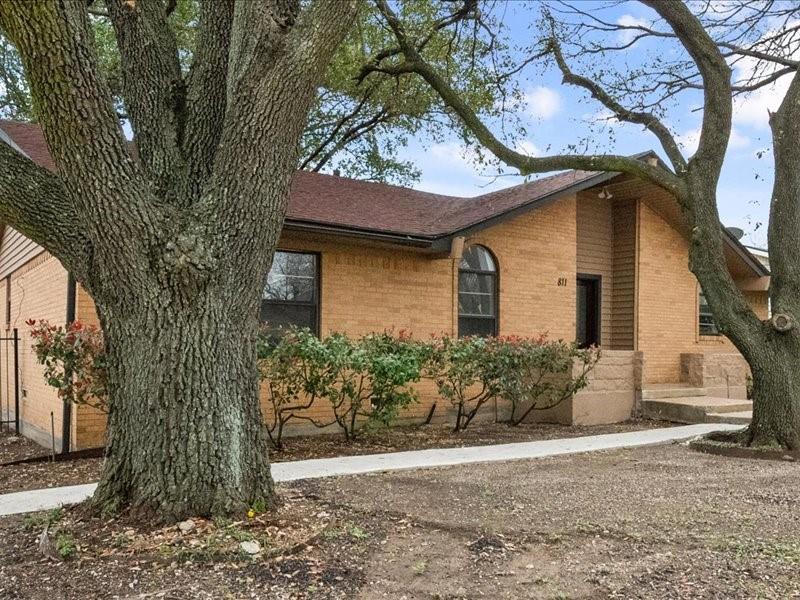 Wild Flower 02 - Residential