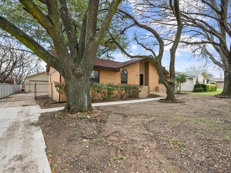 Wild Flower 02 - Residential