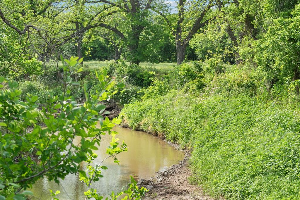 Marmaduke S Hatton Surv A-424 - Farm