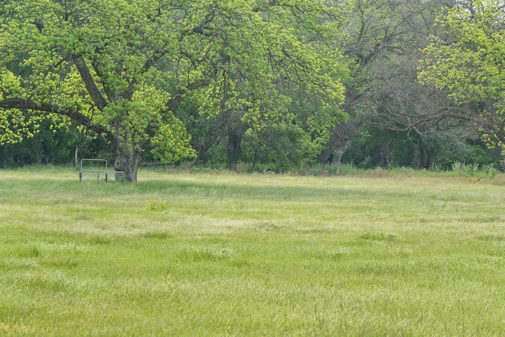 Marmaduke S Hatton Surv A-424 - Farm