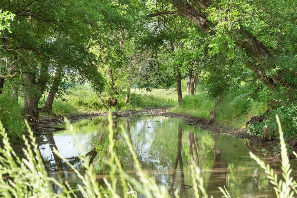 Marmaduke S Hatton Surv A-424 - Farm