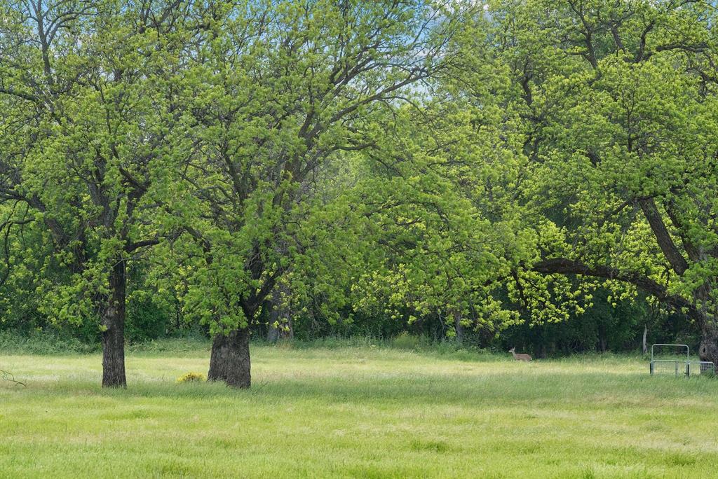 Marmaduke S Hatton Surv A-424 - Farm