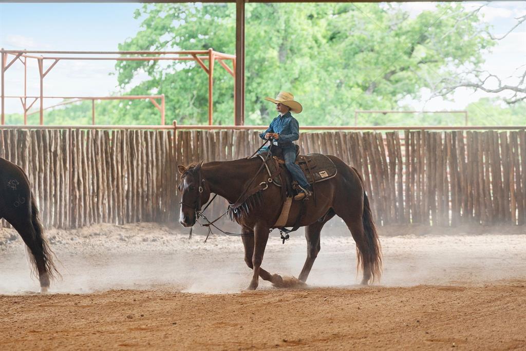 Marmaduke S Hatton Surv A-424 - Farm