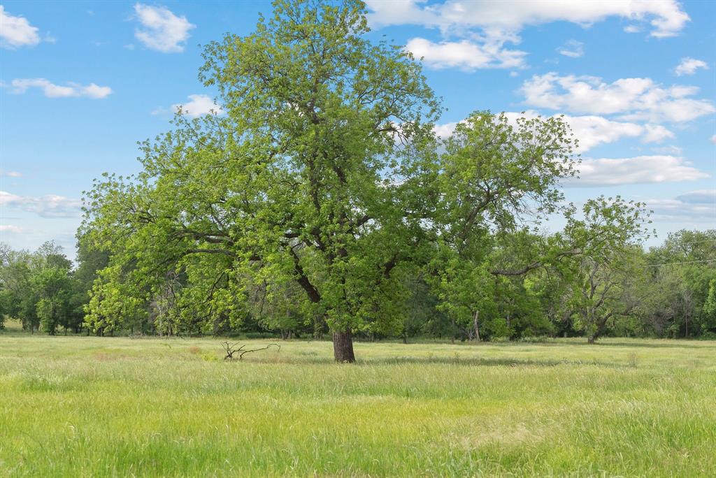 Marmaduke S Hatton Surv A-424 - Farm