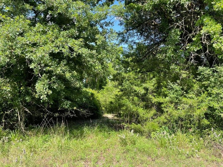 Escape to nature with this beautiful wooded lake lot on Lake Limestone.  The property is perfect for a weekend getaway or your dream lakefront retreat & offers direct access to one of Texas's best-kept secrets for fishing and boating.  Whether you're casting a line, cruising the water, or just enjoying the peaceful surroundings, this lot is the perfect place to unwind and reconnect with nature.  The location is centrally located only hours from Houston, Dallas, Austin, and San Antonio.
