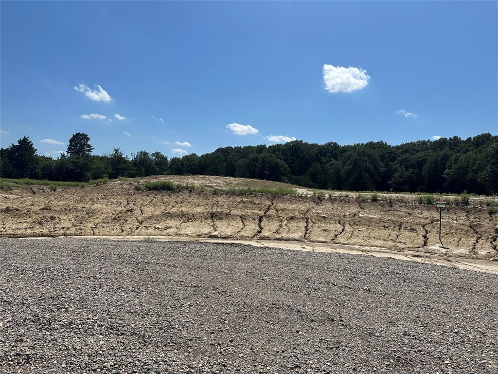 Lot 7 County Road 1110