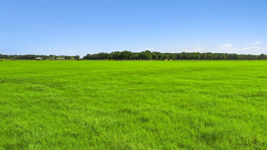 Alexander Edgar Surv Abst #171 - Land