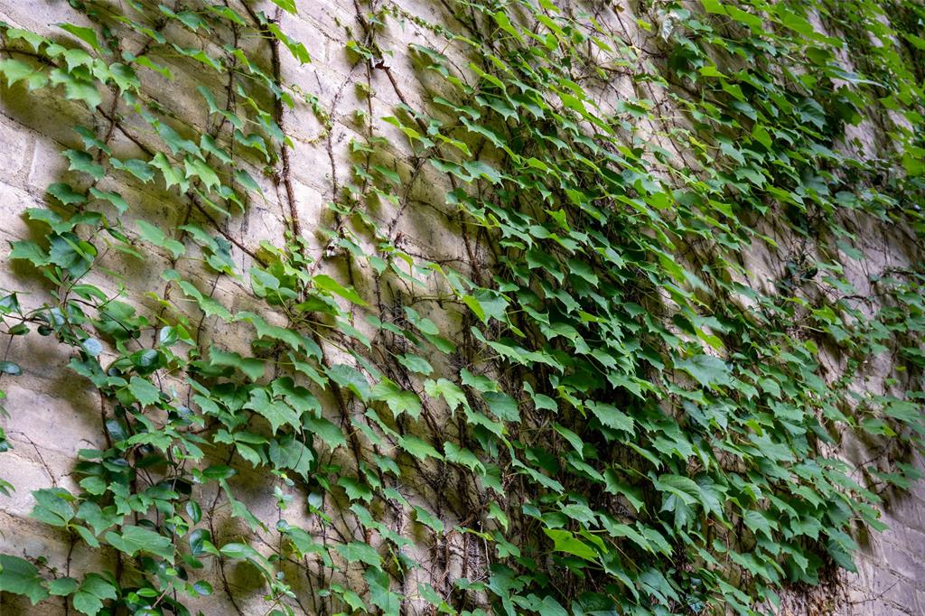 Schoellkoph Sub - Residential