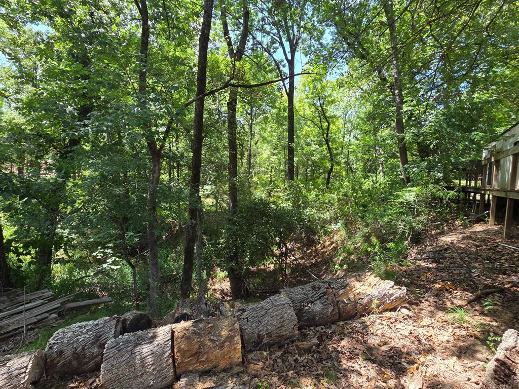 2205 Hickory Street - Photo 3