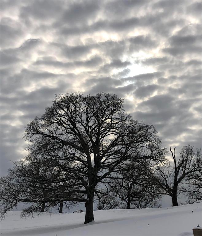 WATERS EDGE RANCH PH II - Land