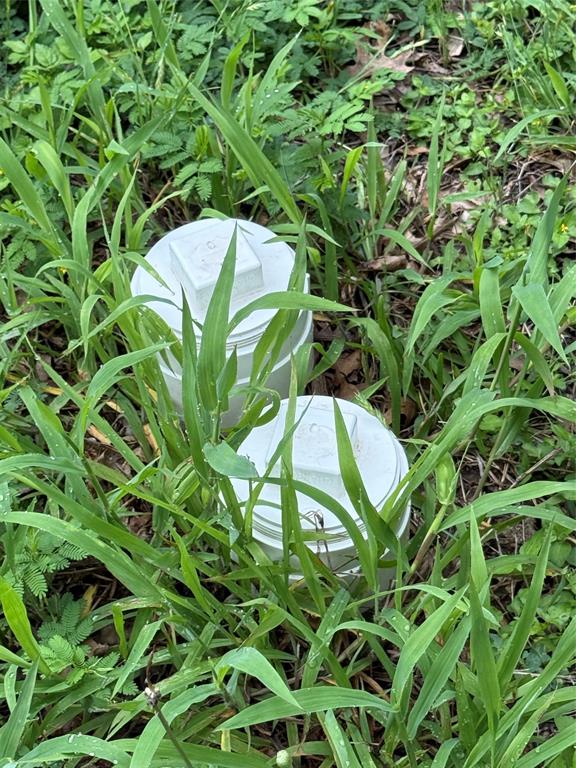 Trinity Heights-Rev - Residential