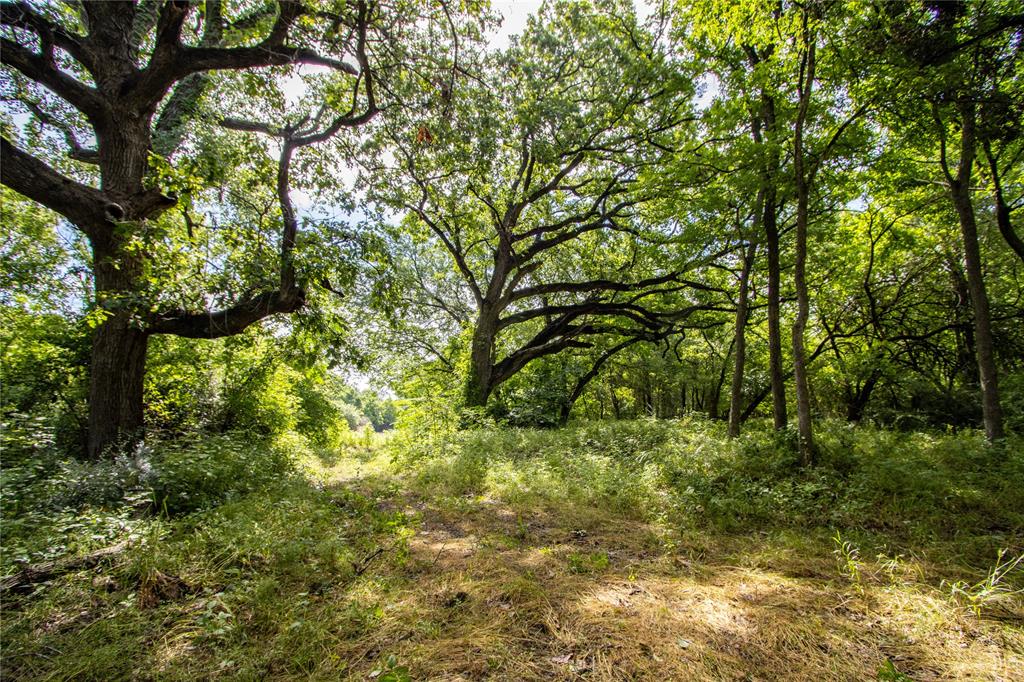 Ponderosa Ranch - Farm