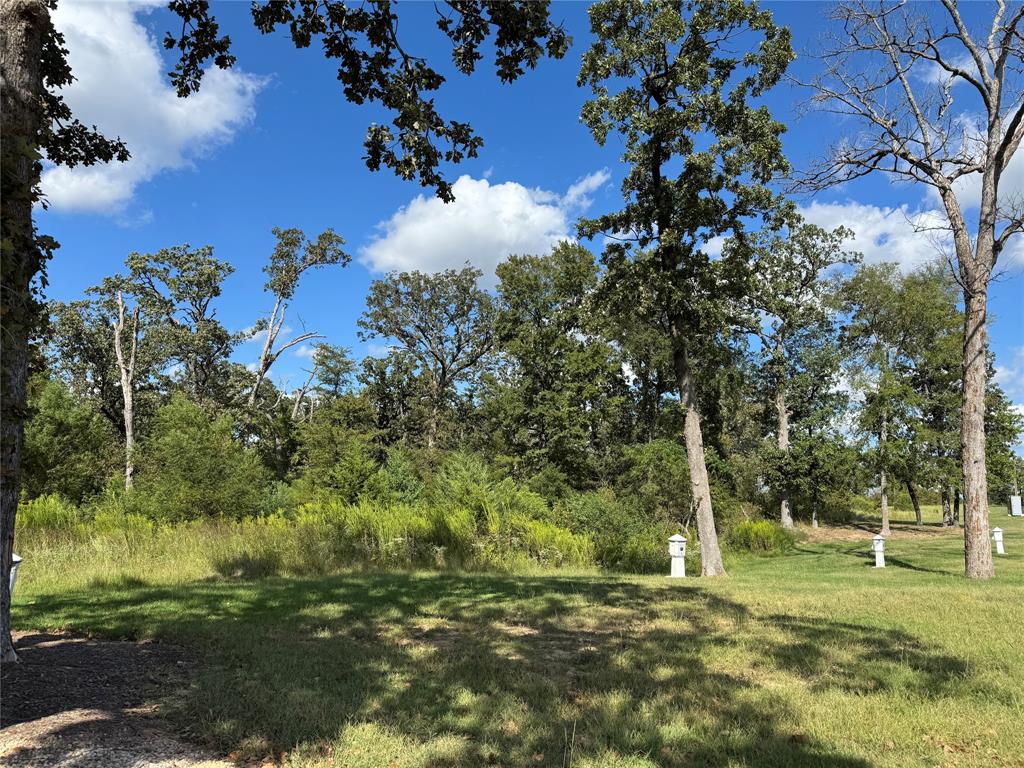 50 County Road 3227 Unit 91 - Land