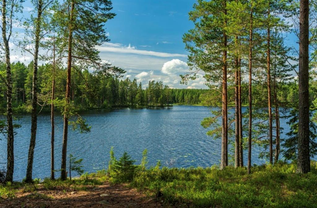 50 County Road 3227 Unit 91 - Land