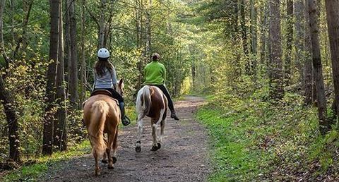 Tiny photo for TBD FM 1171, Flower Mound, TX 75022 (MLS # 20844596)