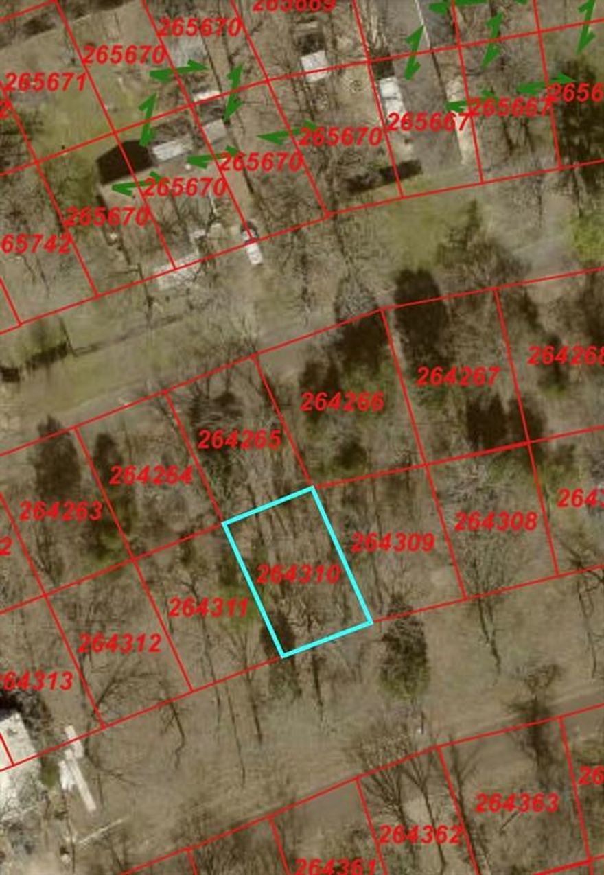 Great opportunity to purchase a buildable lot in Henderson County! This property can be purchased individually or bundled with additional available lots for investors looking to expand their portfolio. The lot features a level layout with scattered mature trees, creating a beautiful setting for a future homesite or a long-term hold. Located within an established subdivision, it offers a peaceful, rural atmosphere while remaining conveniently accessible to nearby highways, towns, and Cedar Creek Lake. Owner financing is available, making this an excellent opportunity for buyers seeking flexible purchase options.