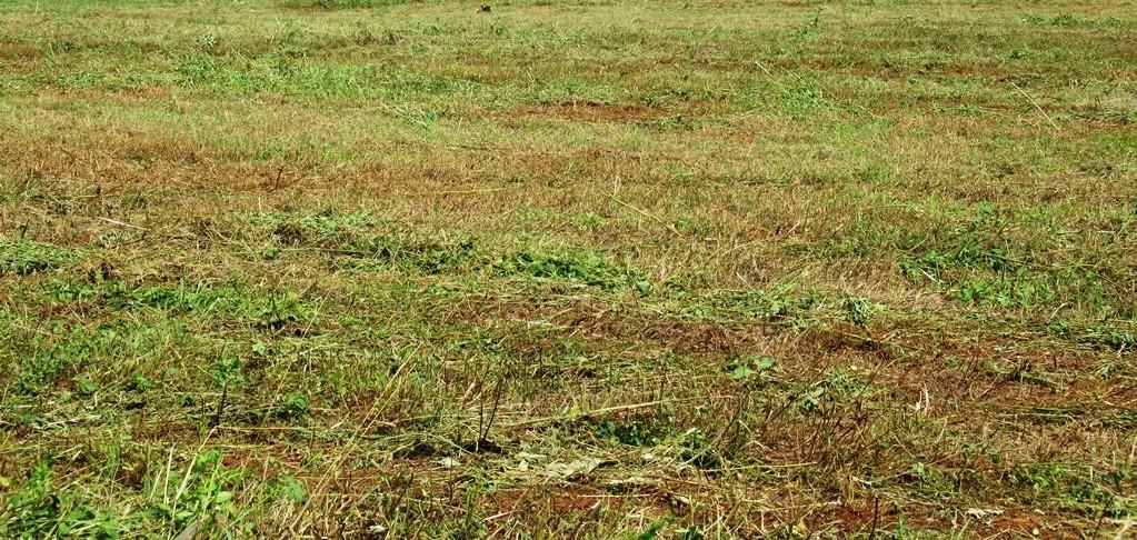 Glen Park Add - Land