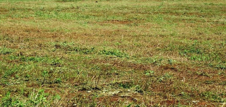 Discover a rare gem in a well-established neighborhood. Five vacant lots totaling right about an acre. This sought-after location offers endless potential for developers, builders, or anyone ready to create their dream home. Just minutes from vibrant downtown Fort Worth and perfectly positioned near major highways and public transit, this property ensures unbeatable convenience and connectivity. Opportunities like this don’t come around often. Build big in a location that has it all