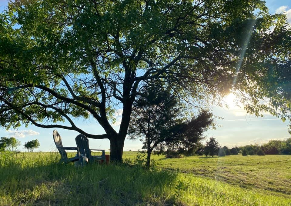 Photo of 5656 County Road 1094, Celeste, TX 75423 (MLS # 21268535)