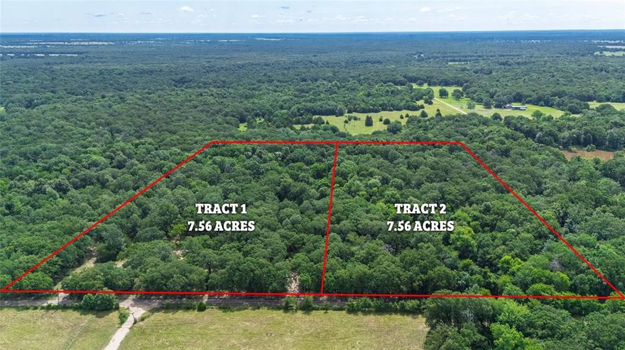 Discover 7.56 acres of peaceful, wooded land offering privacy, natural beauty, and endless potential. This tract is densely treed, providing a serene setting for your future home, recreational retreat, or investment opportunity. Located next to a second available tract, buyers have the option to purchase both parcels for a combined total of just over 15 acres. Enjoy the flexibility to create your own space among nature while still being within reach of local amenities. No known restrictions, utilities available at the road (buyer to verify).