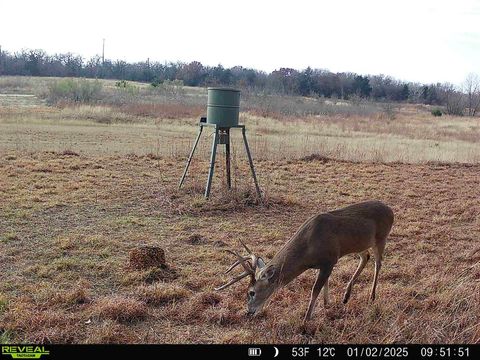 1181 HCR 1439 Road Covington TX 76636