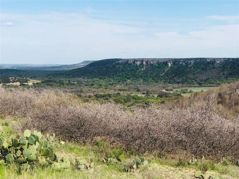 Lot 220 Oak Tree Drive Possum Kingdom Lake TX 76449