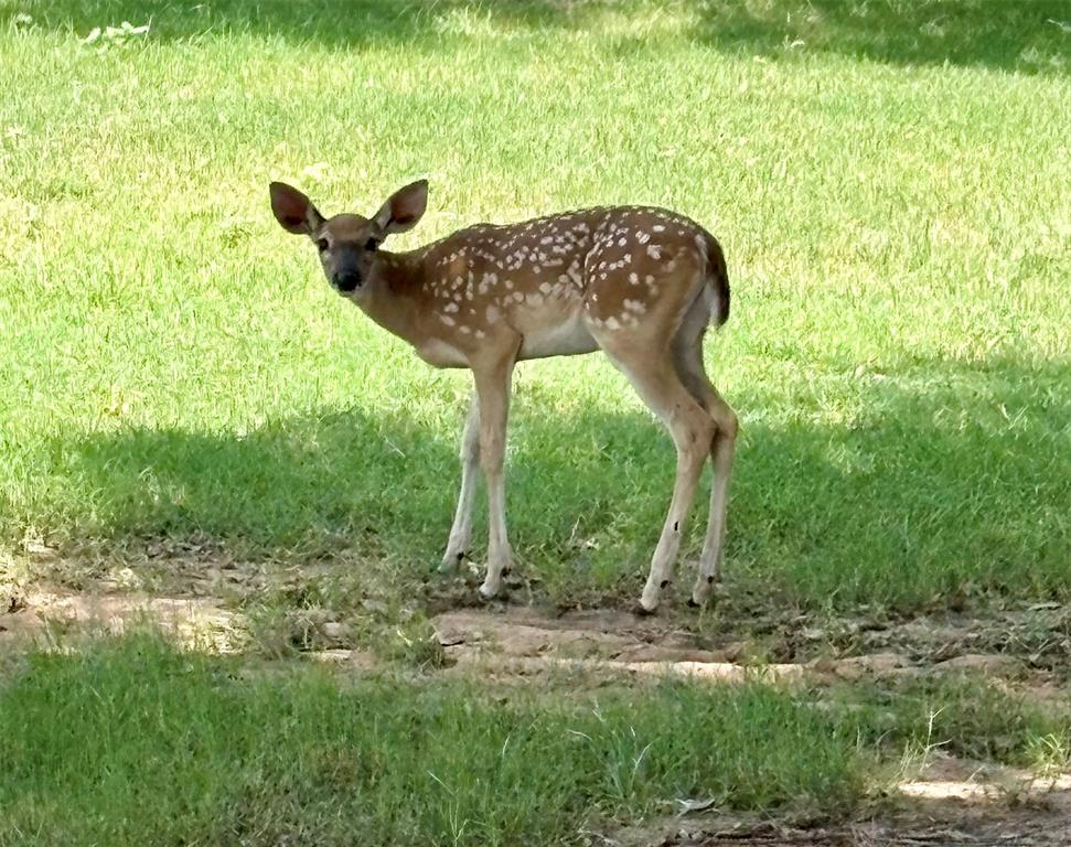 Lot 220 Oak Tree Drive