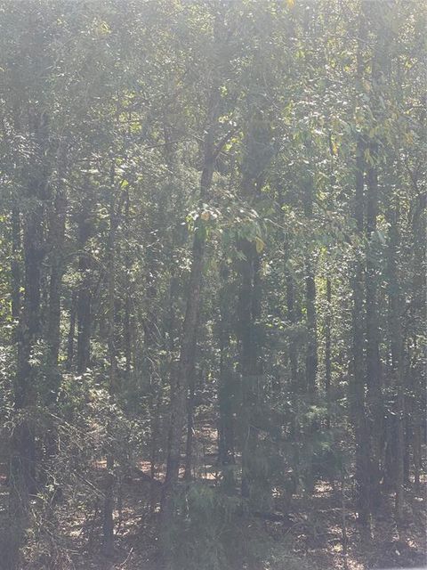 0 Ferry Lake Tract E Oil City LA 71061