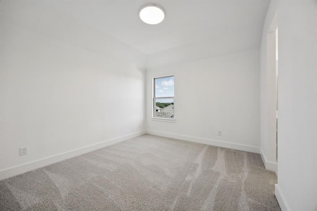 Painted Tree - Residential