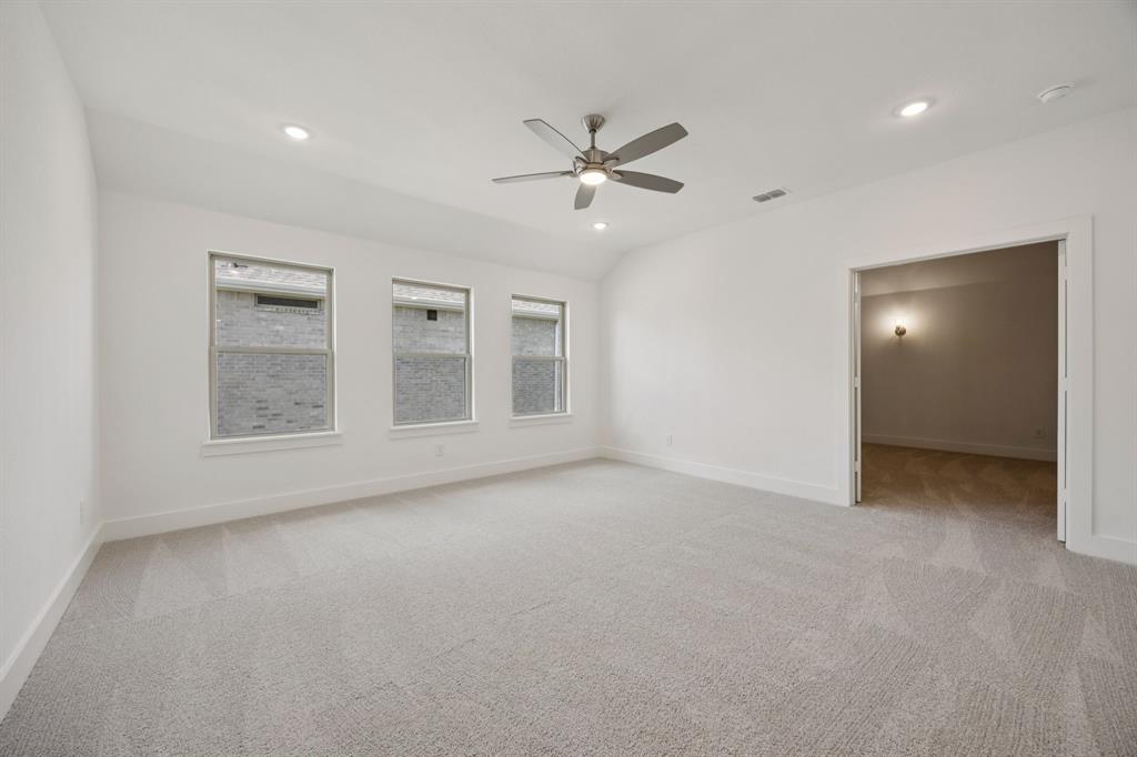 Painted Tree - Residential