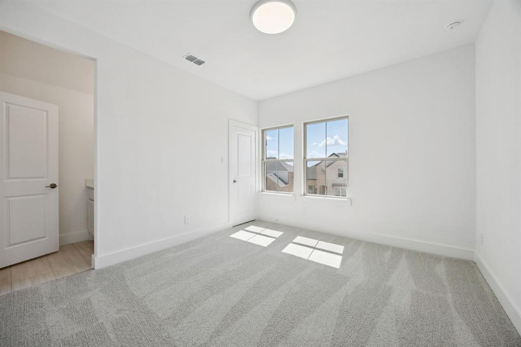 Painted Tree - Residential