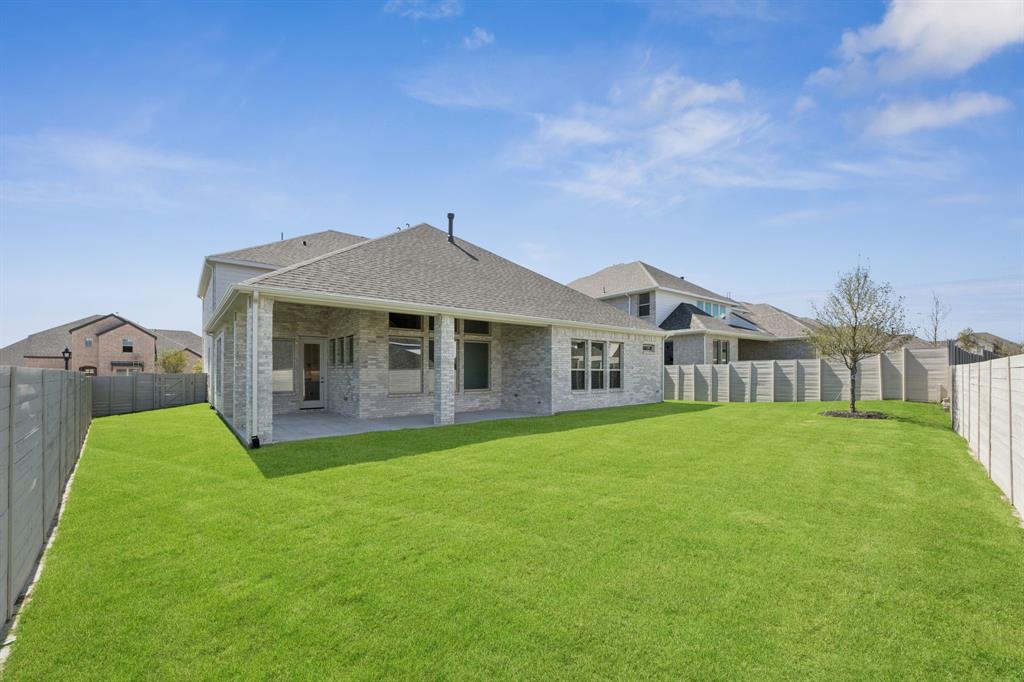 Painted Tree - Residential