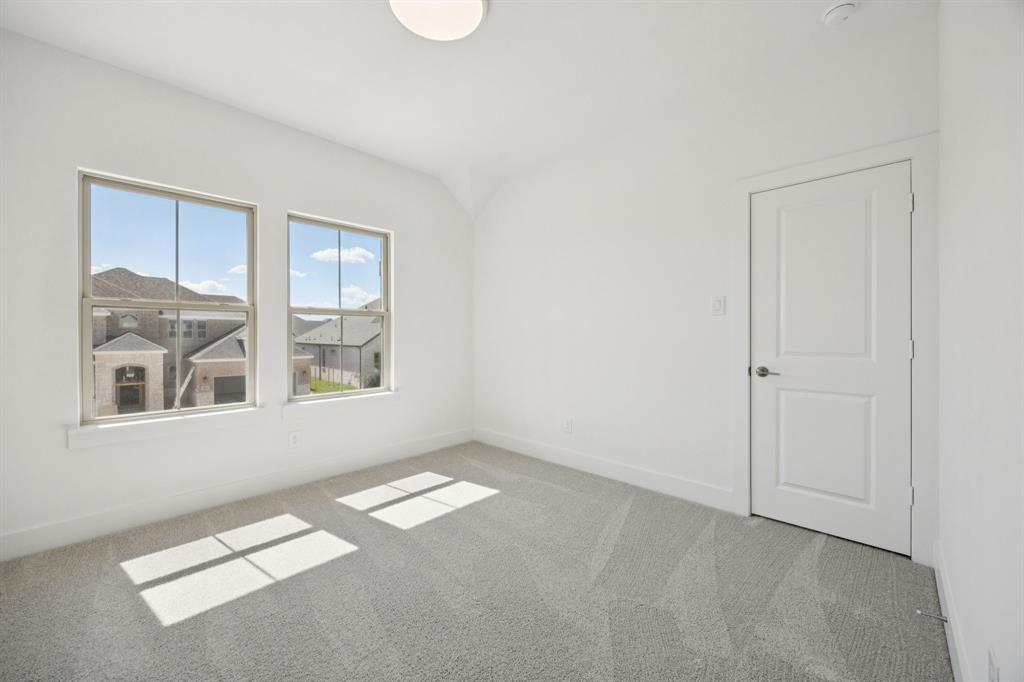 Painted Tree - Residential