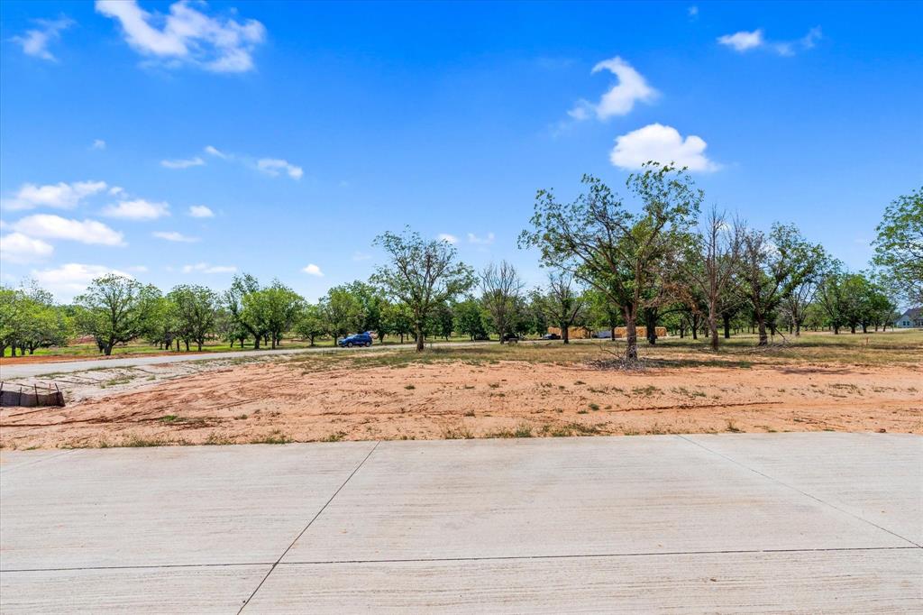 Pecan Plantation - Land