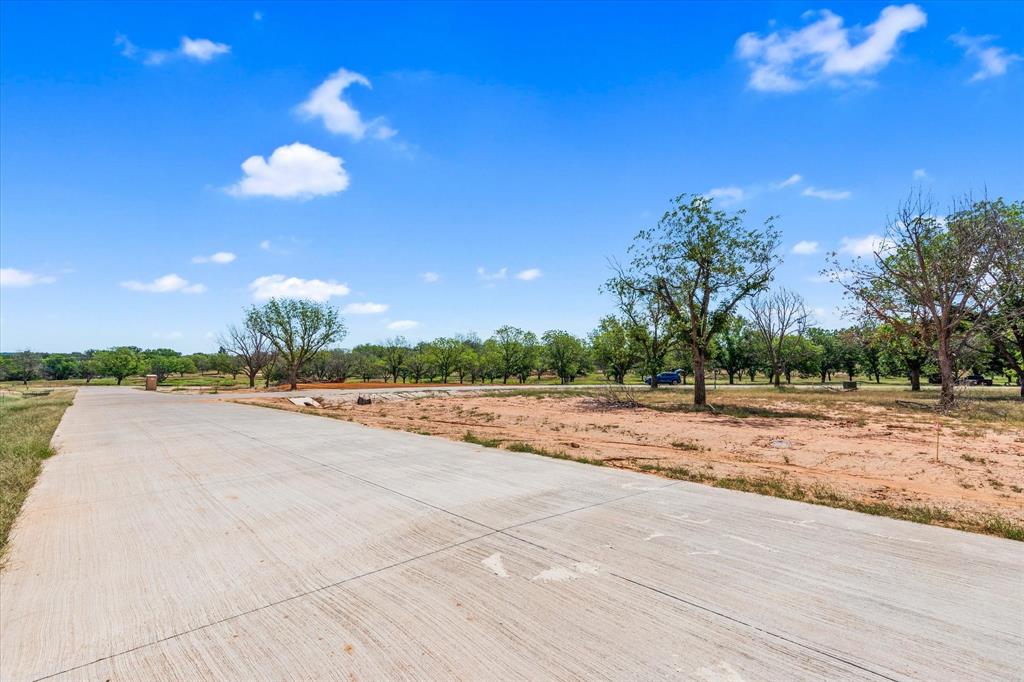 Pecan Plantation - Land