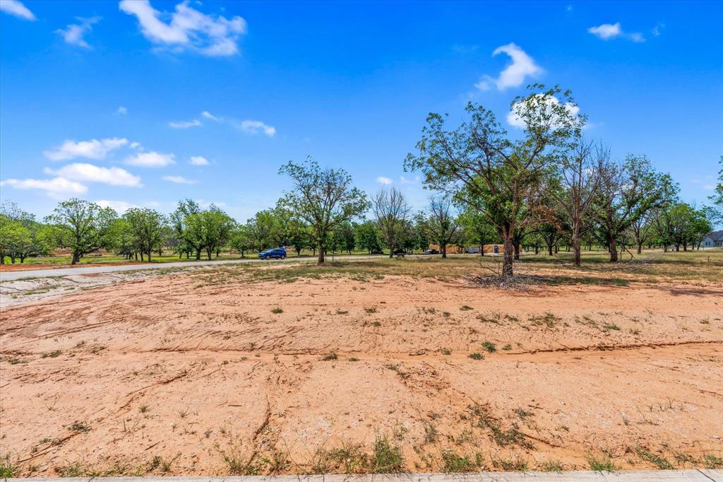 Pecan Plantation - Land