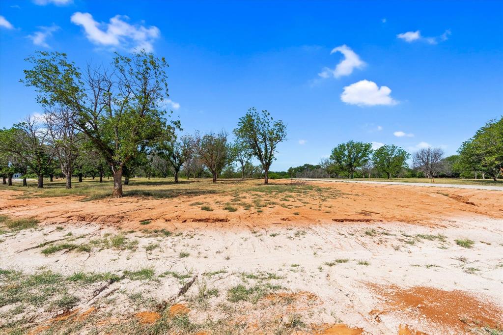 Pecan Plantation - Land