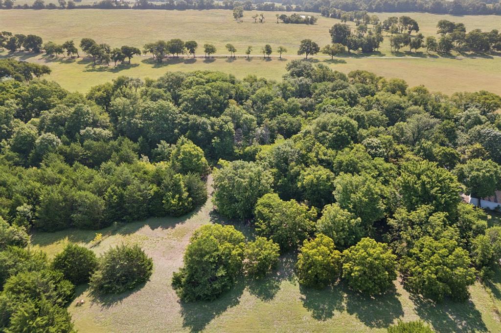 1542 County Road 339