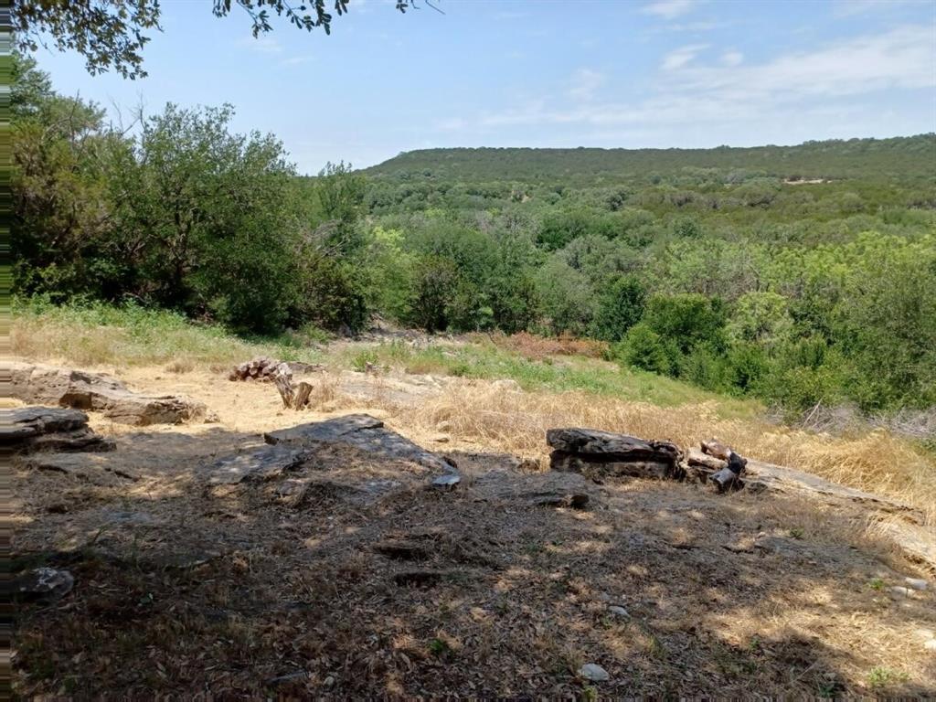 513 Frog Branch Court