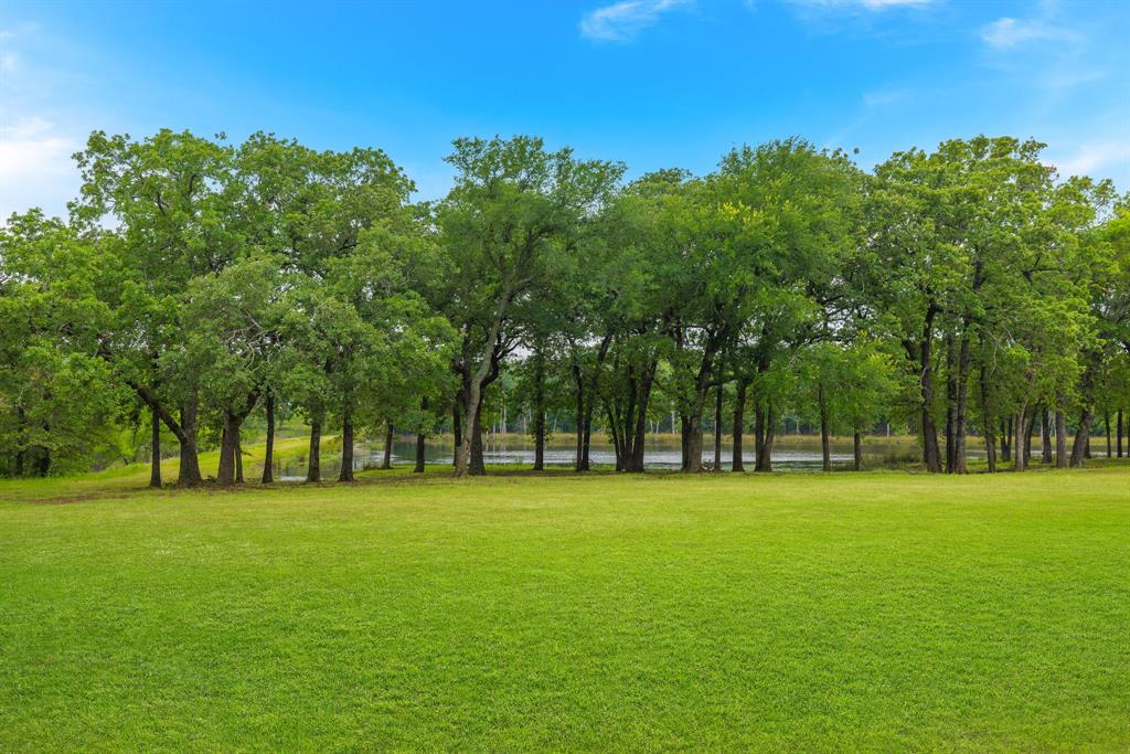 G-1228 TRAMMEL BURK A-G1228, ACRES 41.908 - Residential