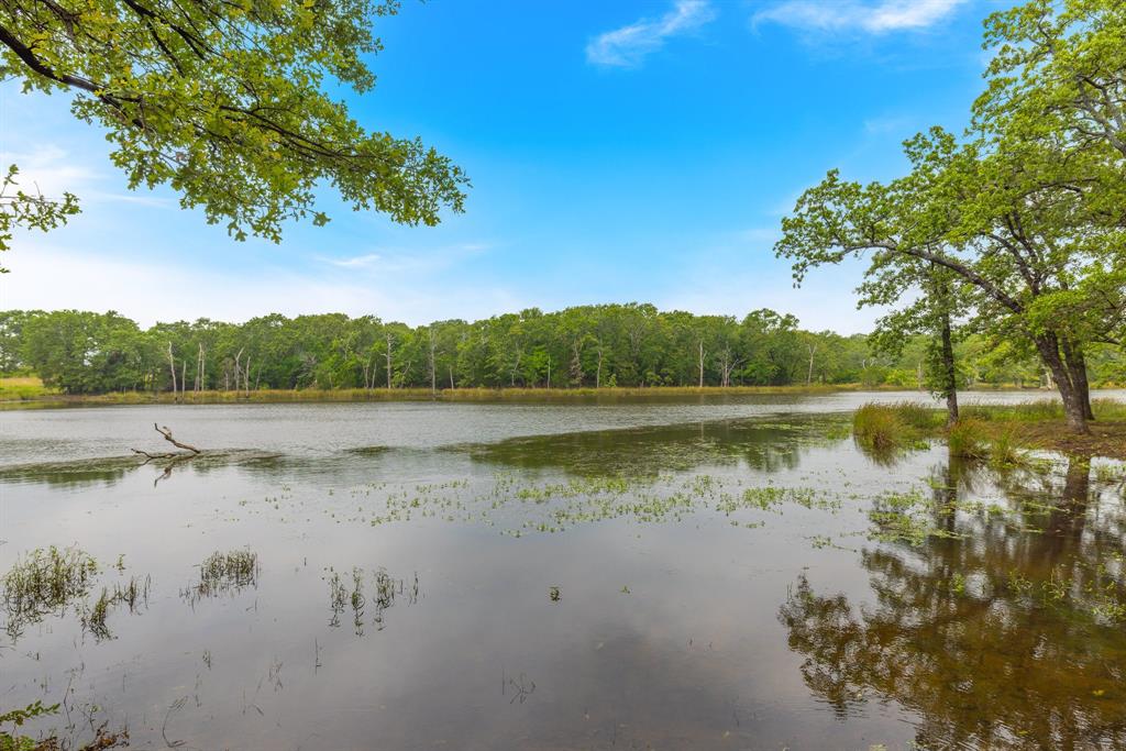 G-1228 TRAMMEL BURK A-G1228, ACRES 41.908 - Residential