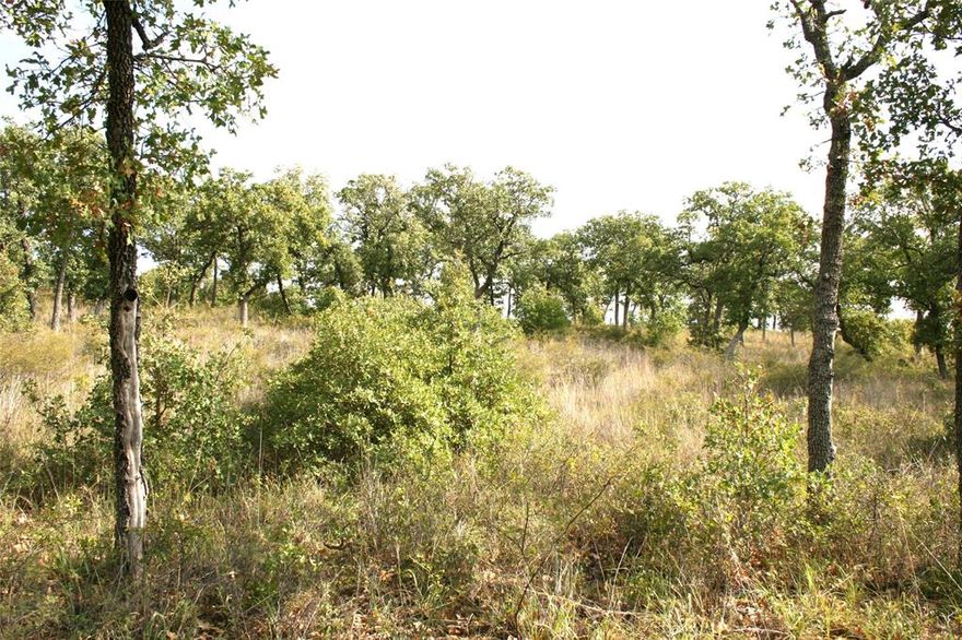 This lot is wooded with a great view of the Palo Pinto Mountains. There is a very good building site with little dirt work. A few of the amenities include a gated entrance, two swimming pools, conservation areas, recreation center, equestrian facility, lake clubhouse, and several stocked lakes for your fishing enjoyment. You also have a helipad and community fire station for your safety concerns. Country living with country club amenities.