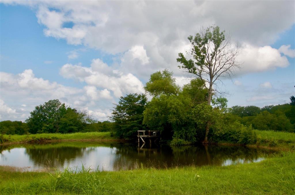Indigo Fields - Land