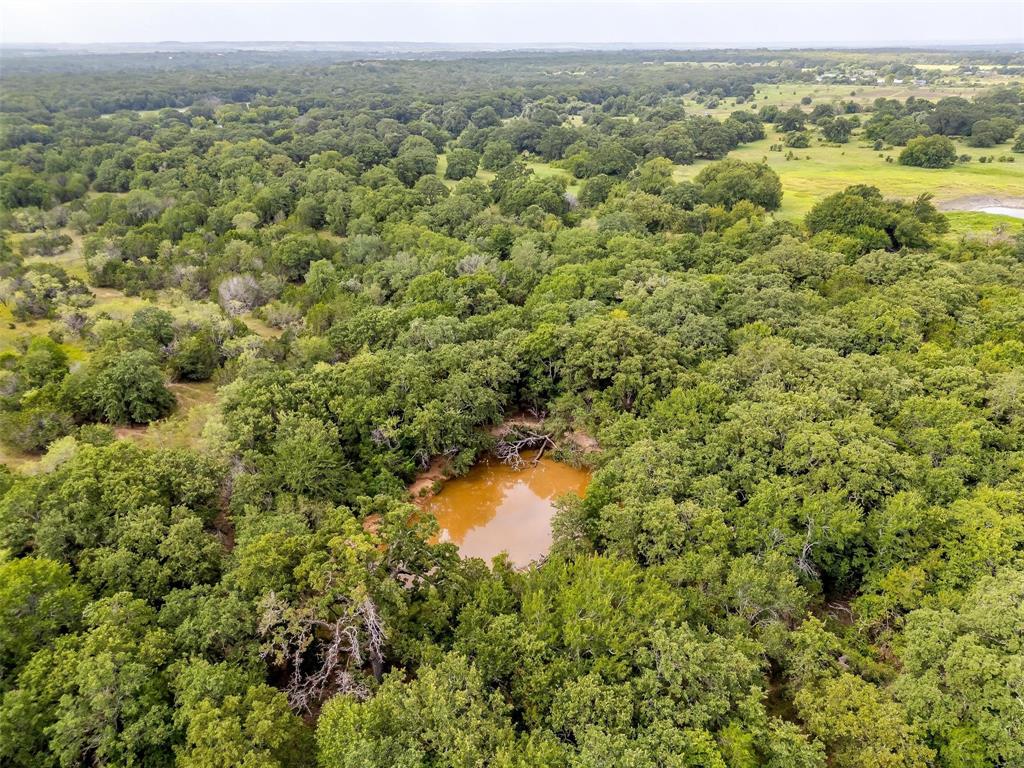 1258 County Road 2960