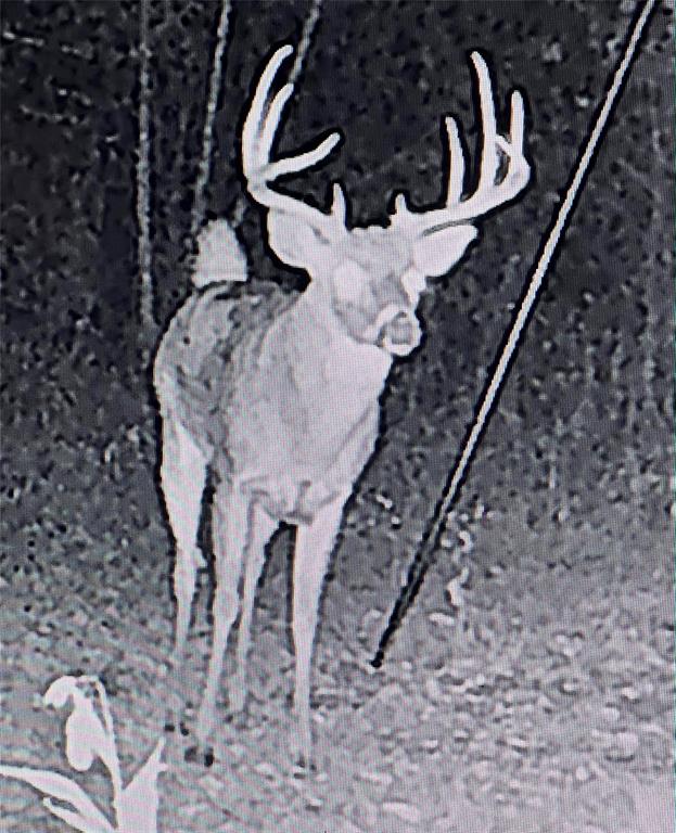 Toby Thomas - Residential