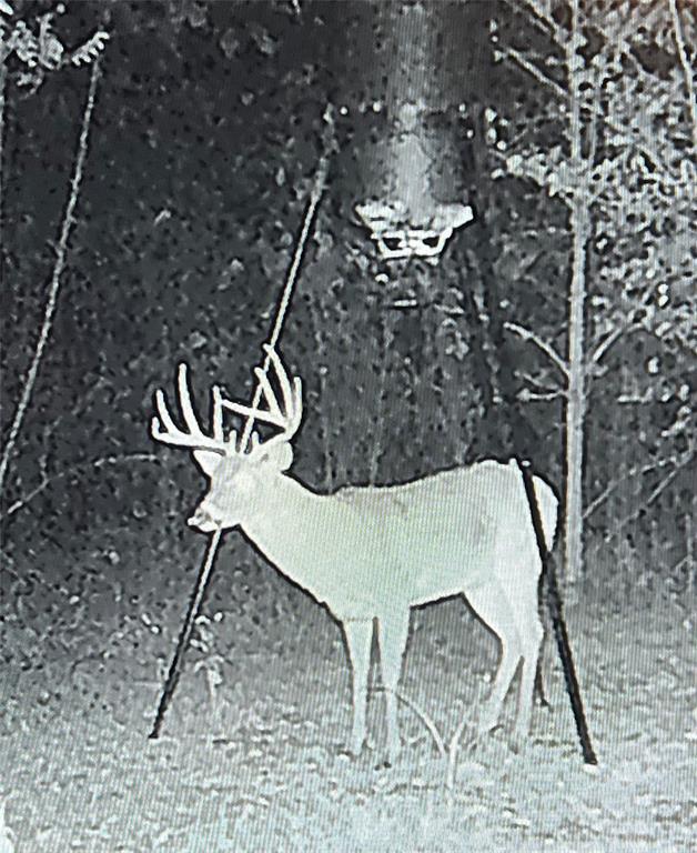 Toby Thomas - Residential