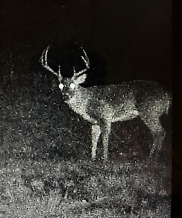 Toby Thomas - Residential